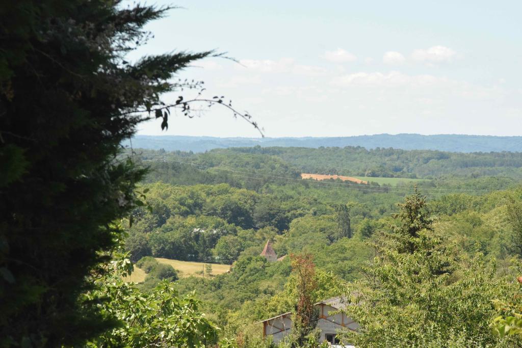Bed and Breakfast Camping Chez Francis à Loupiac  Extérieur photo